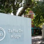 Tafta on Ridge